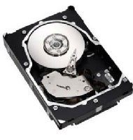 Seagate Cheetah 15K.5 300GB 16MB Serial Attached SCSI (ST3300655SS)